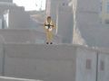 Spil Sniper -drift  online
