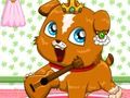 Spil Pet roulette online