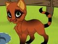 Spil Min Kitten  online