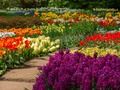 Spil Flower Garden 2 online