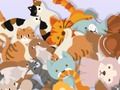 Spil Find kitty online