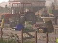 Spil Hog Farm online