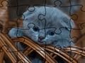 Spil Puslespil: Katte  online
