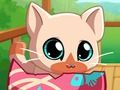 Spil Min Pocket Pets Kitty Cat  online