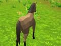 Spil Heste simulator 3D  online