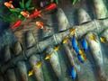 Spil Fiskerkonge  online
