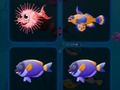 Spil Fiskekort  online