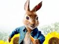 Spil Peter Rabbit: Trouble in the Maze  online