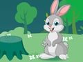 Spil Kaninboble shooter online Spil Kaninboble shooter online