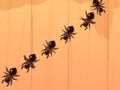 Spil Ant Smash online