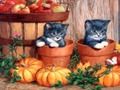 Spil Halloween maleri  online