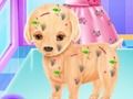 Spil Baby Elsa hvalpekirurgi  online