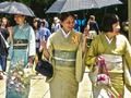 Spil 100 sommerfugle i Japan  online