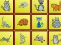 Spil Cats Findiff online