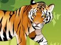 Spil Vred tigerfarve online