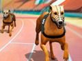 Spil Crazy Dog Racing Fever  online