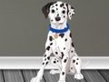 Spil Veterinærlæge Escape 2  online