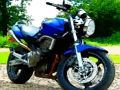 Spil Tunge motorcykler Jigsaw  online