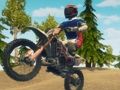 Spil Snavscykel enduro racing online