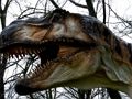 Spil T-Rex Dinosaur Jigsaw online