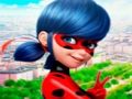 Spil Ladybug Jigsaw Puzzle Collection online