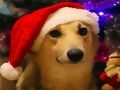 Spil Sjove julehunde online Spil Sjove julehunde online