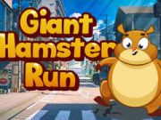 Spil Kæmpe hamsterløb  online