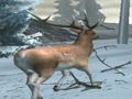Spil Forest Hunter online