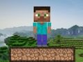 Spil Minecraft overlevelse  online