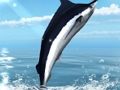 Spil Azure havfiskeri  online