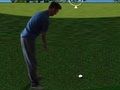 Spil Flash Golf 3d  online