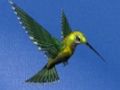 Spil Hummingbird House Escape online
