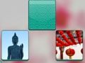 Spil Flippe ud  online
