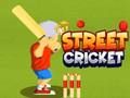 Spil Street Cricket online