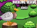 Spil Duckling Rescue Series 1  online