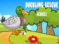 Spil Duckling Rescue Series 2  online