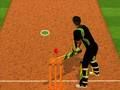Spil Cricket Batter Challenge online