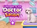 Spil Labrador i lægesalonen  online