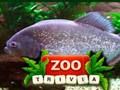 Spil Zoo trivia online