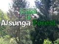 Spil Tilbage til Alsunga Skov  online