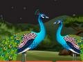 Spil Parrot Escape  online