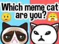 Spil Hvilken meme kat er du?  online