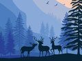 Spil Landskabsparadis skjult  online
