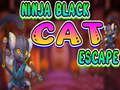 Spil Ninja Black Cat Escape online