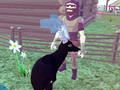 Spil Hjortesimulator 3d online