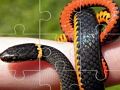 Spil Snakes puslespil  online