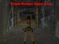 Spil Tomb Raider Åbn Lara  online