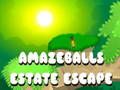 Spil Amazeballs Estate Escape online