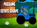 Spil Forvirrende Estate Escape  online