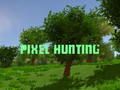 Spil Pixel jagt  online